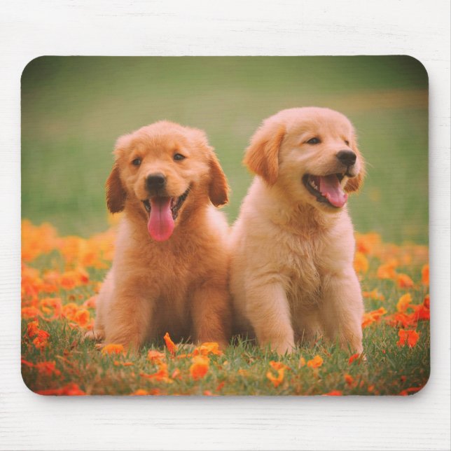 Tapis De Souris Dehors, ensemble, couple, chiens (Devant)