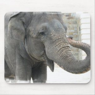 Tapis de souris d'éléphant de son de la trompett