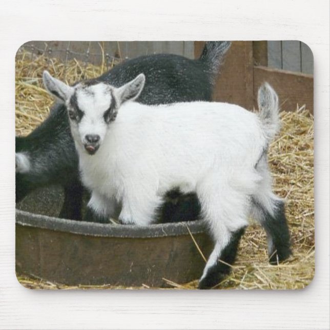 Tapis De Souris Délicieux ! (Devant)