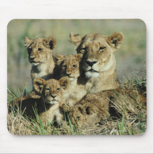 Tapis De Souris Delta d'Okavango, Botswana