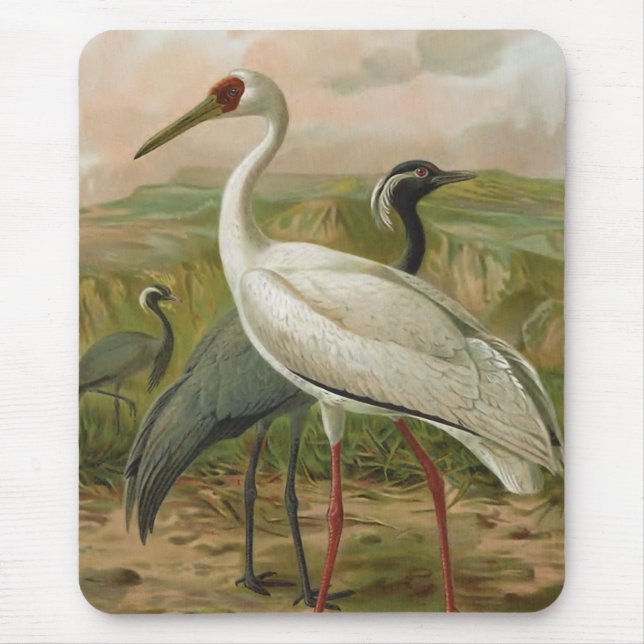 Tapis De Souris Demoiselle et oiseau sibérien de cru de grues (Devant)