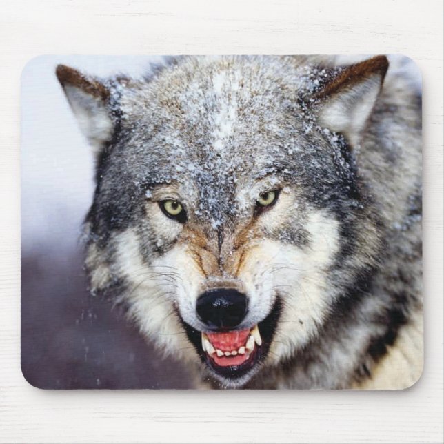 Tapis De Souris Dents de loup gris (Devant)