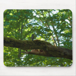 Tapis De Souris Dépassement de la forêt Mousepad