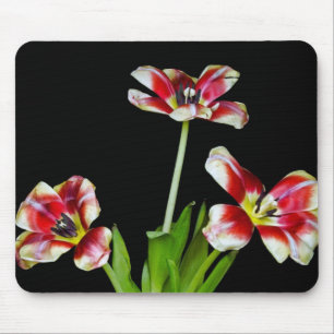 Tapis De Souris Déplacé