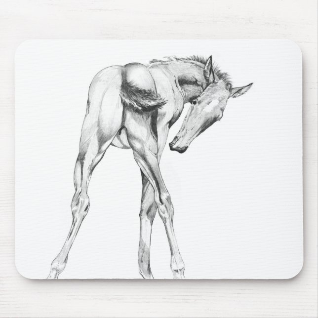 Tapis De Souris Dépouille (Devant)