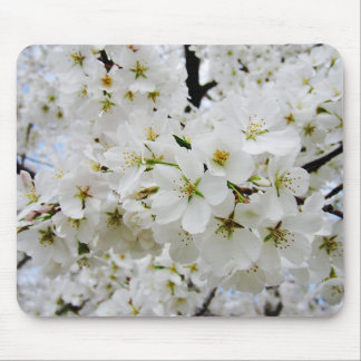 Tapis de souris des fleurs de cerisier 3
