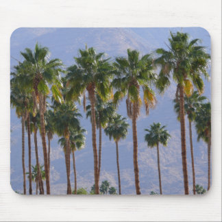 Tapis de souris désert palmier Californie Palm Spr