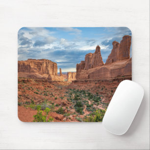 Tapis De Souris Deserts   Arches National Park, Utah