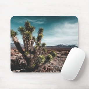 Tapis De Souris Deserts Cholla Cactus
