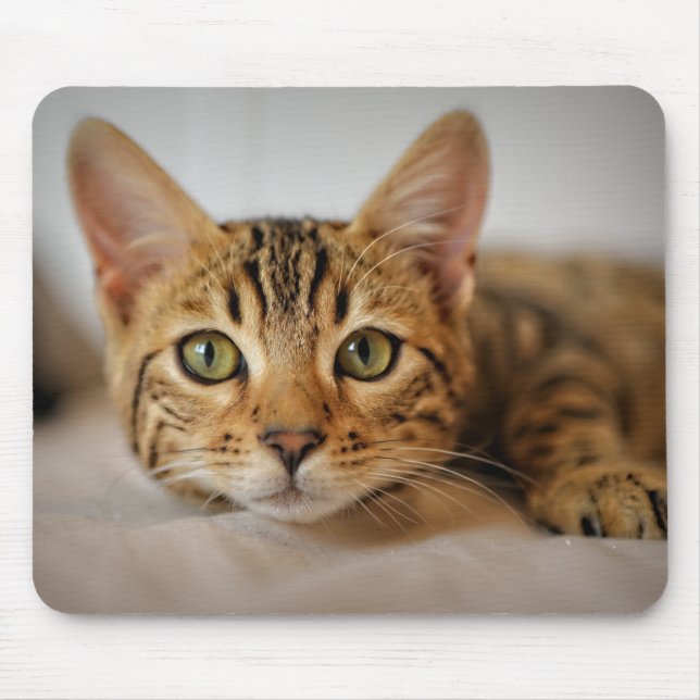 Tapis De Souris Design - Cute Kitten (Devant)