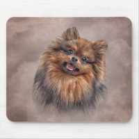 Dessin Chien Pomeranian Spitz