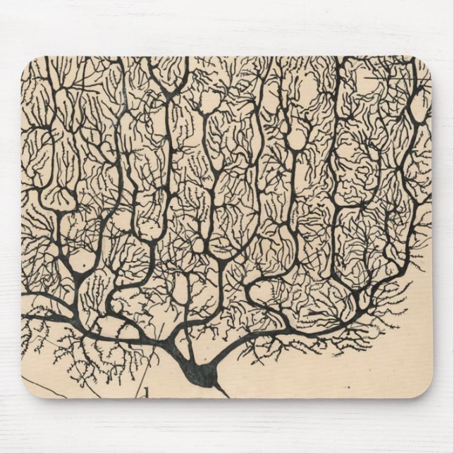 Tapis De Souris Dessin De Neuron Par Santiago Ramón Y Cajal (Devant)