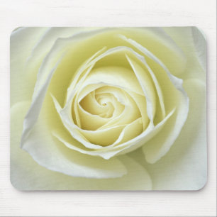 Tapis De Souris Détails de près de rose blanche