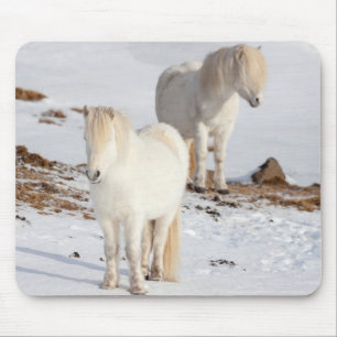 Tapis De Souris Deux chevaux blancs islandais