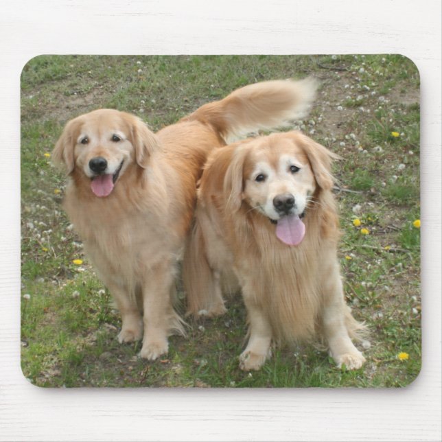 Tapis De Souris Deux chiens d'or souriants dans le parc (Devant)