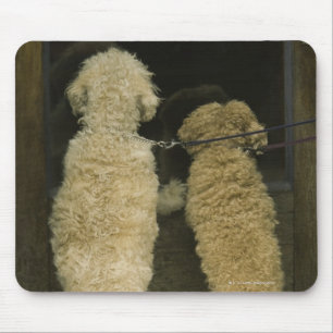Tapis De Souris Deux chiens regardant dans la fenêtre de porte,
