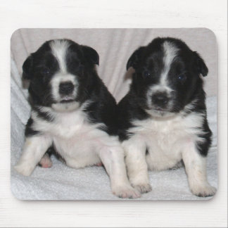 Tapis De Souris deux chiots noirs et blancs