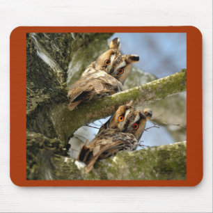 Tapis De Souris Deux Chouettes dans les Bois, oiseaux, faune Souri