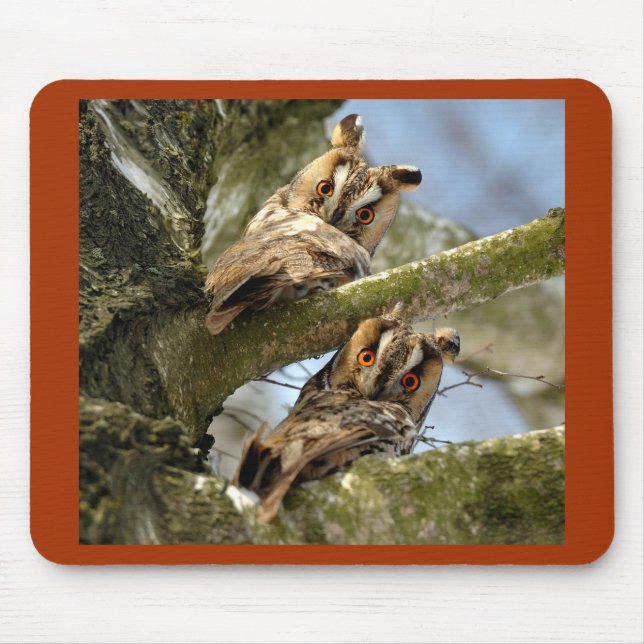 Tapis De Souris Deux Chouettes dans les Bois, oiseaux, faune Souri (Devant)