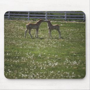 Tapis De Souris Deux colts sur le terrain