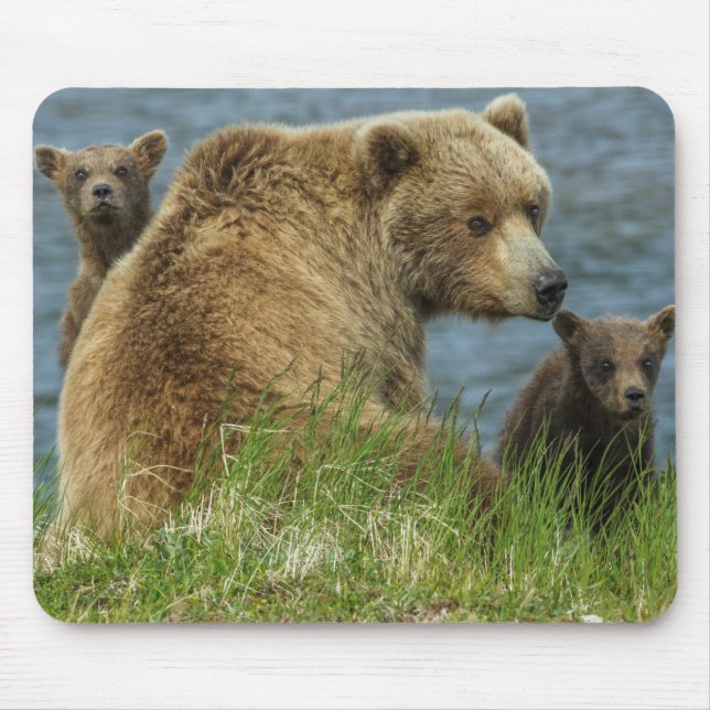 Tapis De Souris Deux cubes d'ours Brown avec Mère près de l'eau (Devant)