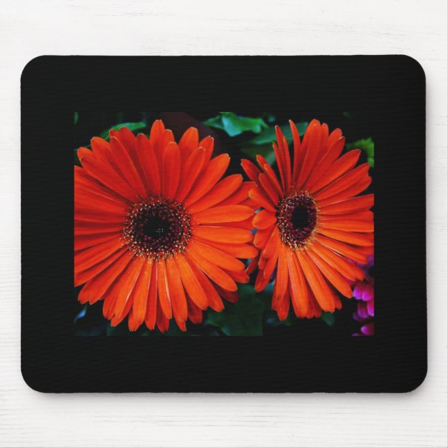Tapis De Souris deux fleurs marguerites orange (Devant)
