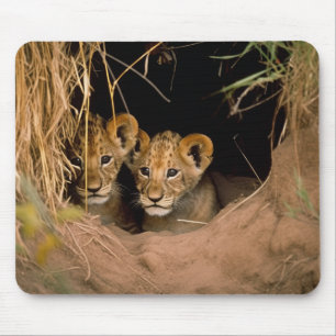 Tapis De Souris Deux Lions Cubs