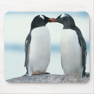 Tapis De Souris Deux pingouins touchant des becs
