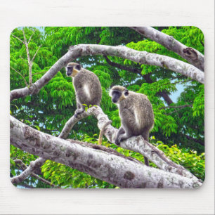 Tapis De Souris Deux Singes Vertes Assis Dans L'Arbre Imprimé Pani