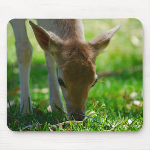 Tapis De Souris Devenez écolo pour l'antilope de cerfs communs
