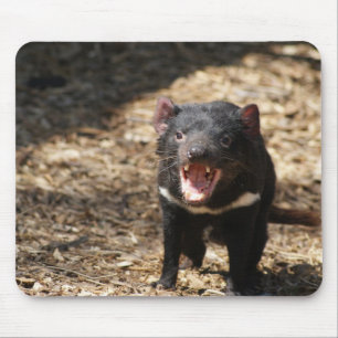 Tapis De Souris Diable tasmanien