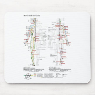 Tapis De Souris  Diagram Schematic Chinese Meridians Human Body 