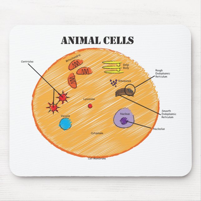 Tapis De Souris Diagramme animal de cellules (Devant)