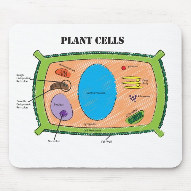 Tapis De Souris Diagramme de cellules de plante (Devant)