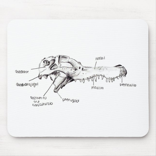 Tapis De Souris Diagramme de crâne d'alligator (Devant)