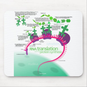 Tapis De Souris Diagramme de synthèse des protéines de la traducti
