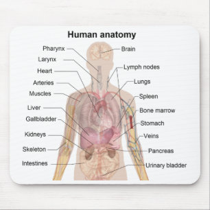 Tapis De Souris Diagramme d'ombre de l'anatomie humaine