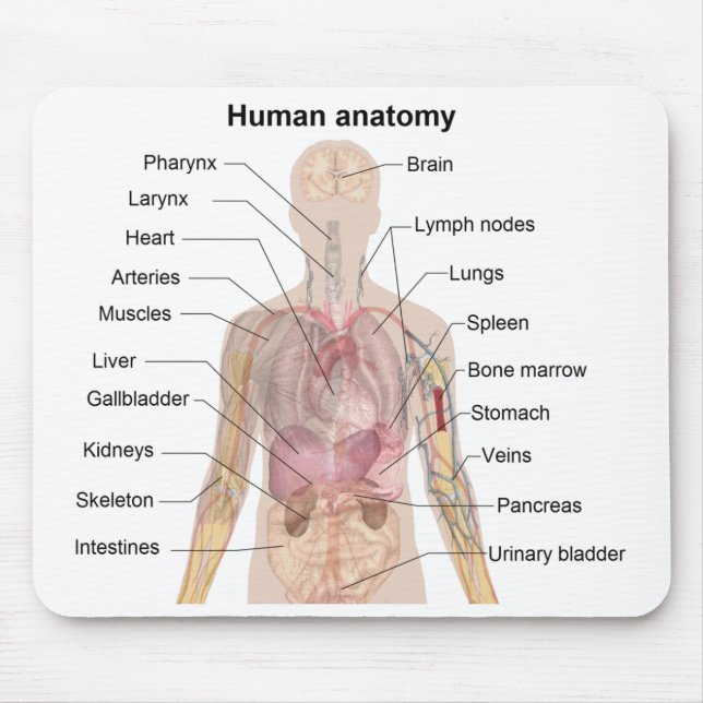Tapis De Souris Diagramme d'ombre de l'anatomie humaine (Devant)