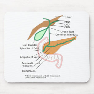Tapis De Souris Diagramme du système de la souris Biliaire Diagra