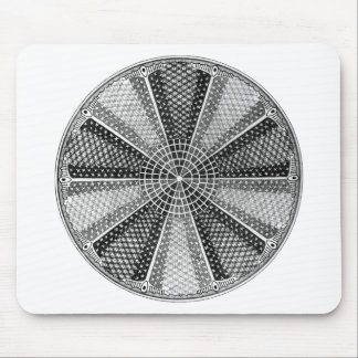 Tapis De Souris Diatom 13 Ernst Haeckel Fine Art