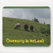 Diversité dans l'Irlandais de l'Irlande Mousepad