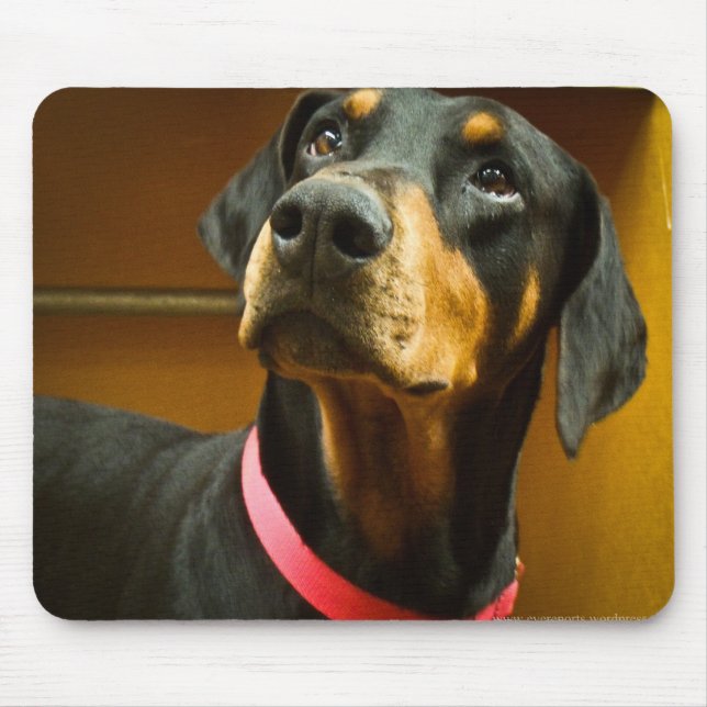 Tapis De Souris Dobermann Mousepad (Devant)