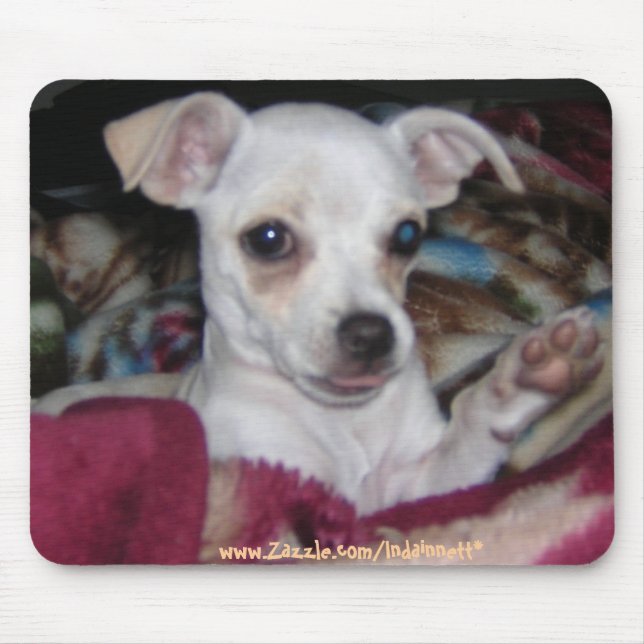 Tapis De Souris Dog-MousePad. mignon (Devant)