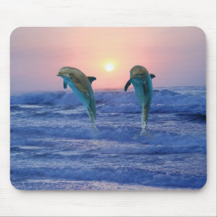 Tapis De Souris Dolphins at sunrise