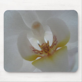 Tapis de souris d'orchidée