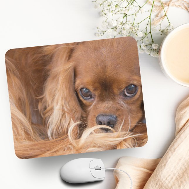 Tapis De Souris Douce Cavalier King Charles Spaniel Ruby (Charming King Charles Spaniel Mousepad: Elevate Your Workspace with Adoration.)