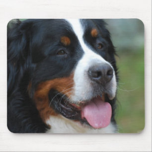 Tapis de souris doux de Bernese