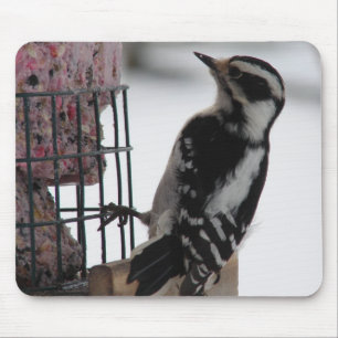 Tapis De Souris Downy Woodpecker