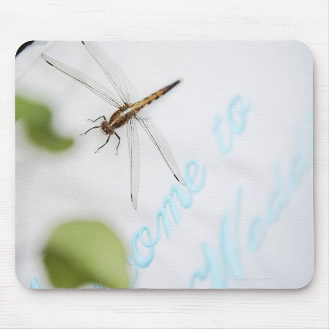 Tapis De Souris Dragonfly 4 (Devant)