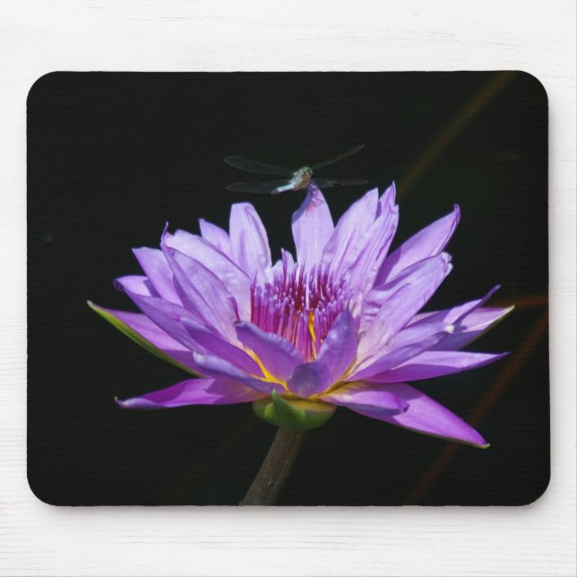 Tapis De Souris Dragonfly Nénuphar violet Lotus Jouer des cartes (Devant)